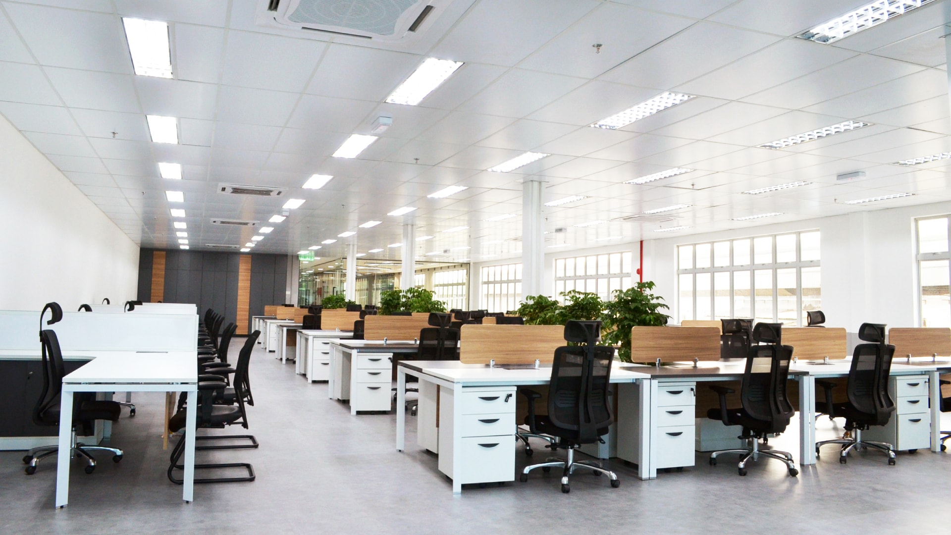 Oji Dazun Office